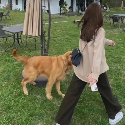 贼性